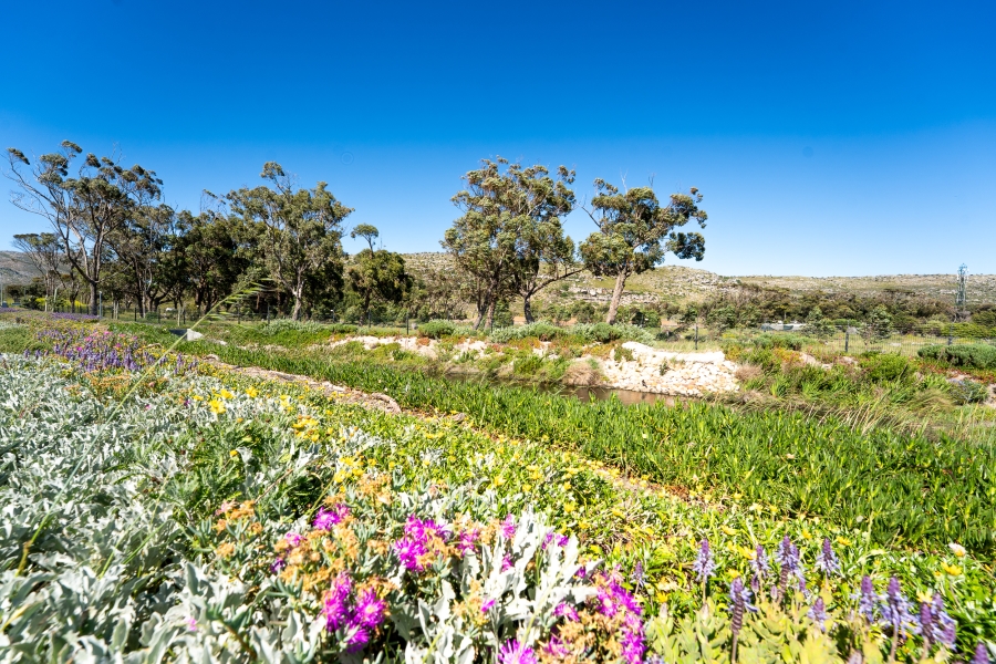 0 Bedroom Property for Sale in Kommetjie Western Cape